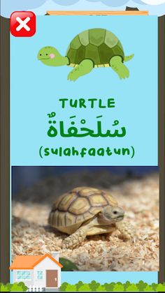 Animals in Arabic For Kids - Screenshot 3