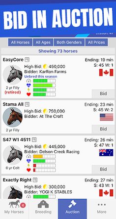 Off And Pacing: Horse Racing - Screenshot 4