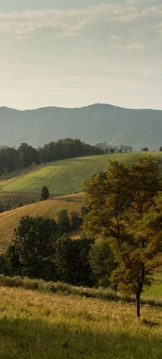 Quaint fishing villages - Screenshot 2