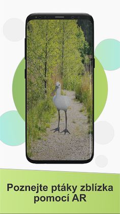 Ptactvo Vrbenských rybníků - Screenshot 4