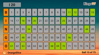 Bingo TV - Screenshot 2