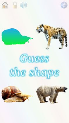 Animals, games, curiosities - Screenshot 3