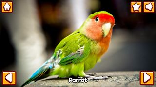 Animal friends in my hand - Screenshot 3