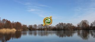 Flock Of Birds - Screenshot 1