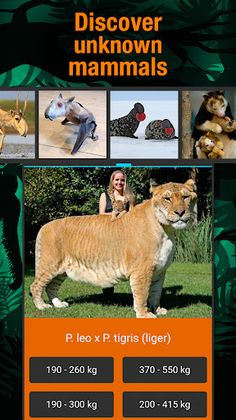 Animal weight Quiz - trivia - Screenshot 3