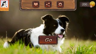 Border Collie Simulator - Screenshot 3