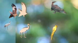Puzzle Game Animals for Kids - Screenshot 1