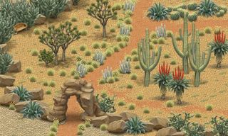 Inner Garden: Desert Garden - Screenshot 1