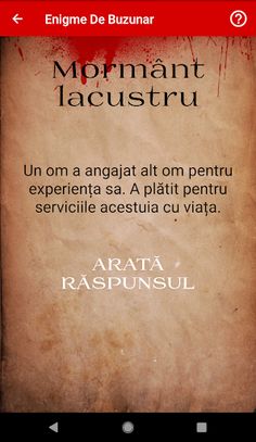 Enigme De Buzunar - Screenshot 3