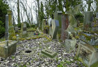 Escape Room Mystery Park - Screenshot 3