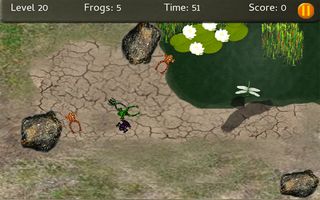 Baby Frogs - Frog Wrangling - Screenshot 3
