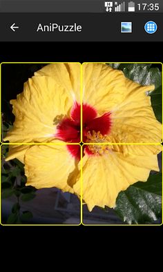 Animated Puzzle Game - Screenshot 1