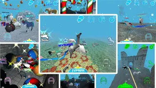 Hill Cliff Horse: Online - Screenshot 3
