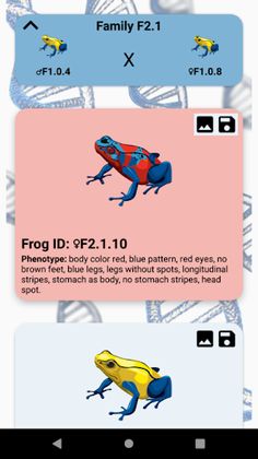 FrogLab - Screenshot 2