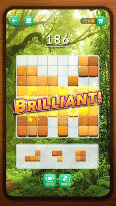 Blockscapes - Block Puzzle - Screenshot 2