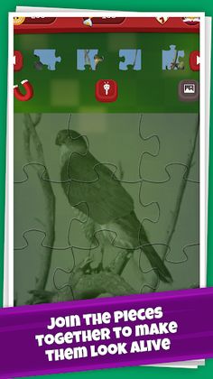Birds Jigsaw Puzzle Game: Amaz - Screenshot 2