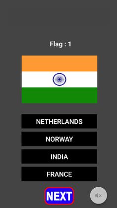 Flag Game - Screenshot 3