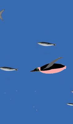 penguin - Screenshot 1