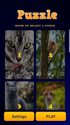 Pet World Puzzle : Animal Cros - Screenshot 3