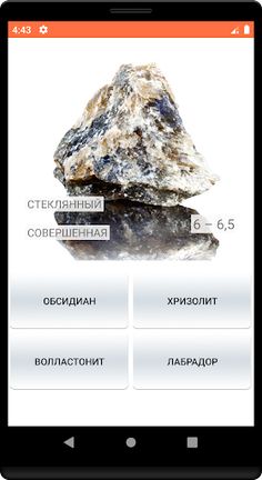 Викторина Камни и Минералы - Screenshot 4