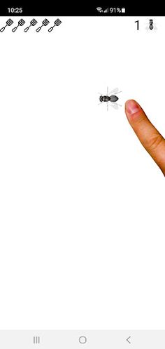 Catch fly on screen cat's game - Screenshot 1