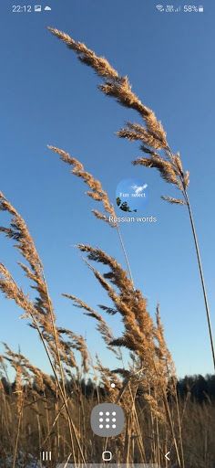 Fun select Russian Words - lan - Screenshot 3