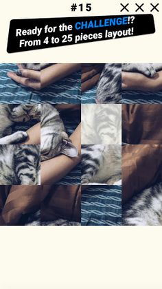 Picture Puzzles | Free IQ brai - Screenshot 4