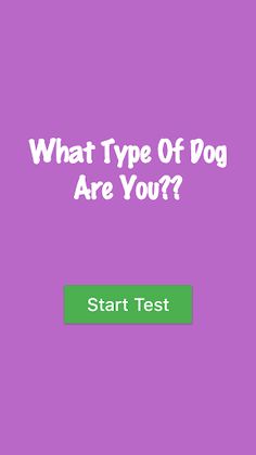What Kind of Dog Are You ?? - Screenshot 1