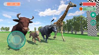 Angry Buffalo Wild Animal Race - Screenshot 2