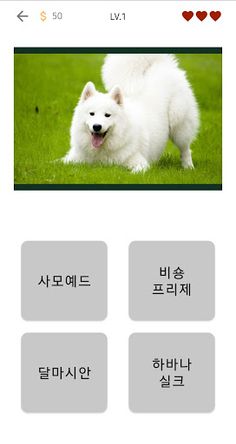강아지 퀴즈 - Screenshot 2