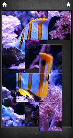 Animals puzzles - photo jigsaw - Screenshot 2