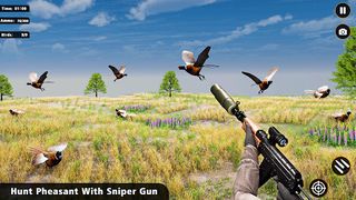 Pheasant birds hunting Games - Screenshot 3
