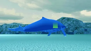 Blue Whale Revange - Screenshot 2
