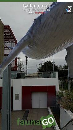 Fauna GO Beta - Screenshot 3