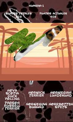 Dog breeds, one is hiden - Screenshot 4