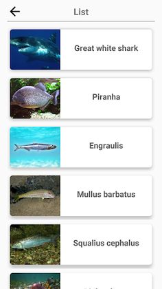 Animals - Quiz about Mammals! - Screenshot 4
