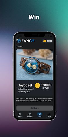 PwnyUp - Screenshot 3