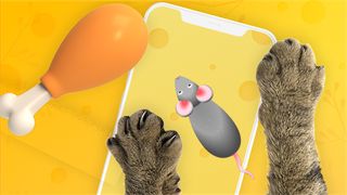 Cat Games - Games For Cats - Screenshot 1