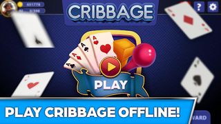 Cribbage Offline Card Game - Screenshot 1
