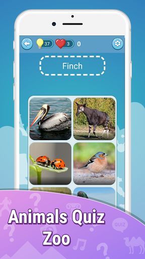 Animals quiz zoo: fish birds - Screenshot 2