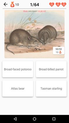 Extinct animals, endangered sp - Screenshot 2