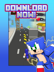 Run Hedgehog Run - Screenshot 4