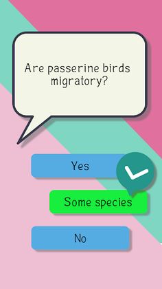 Bird quiz game - Screenshot 3