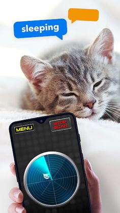 What Do Cats: Joke Radar - Screenshot 1