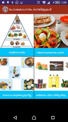 NIN Nutrition പോഷകാഹാരം Malay - Screenshot 2