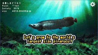 Pirarucu rising from fry - Screenshot 2