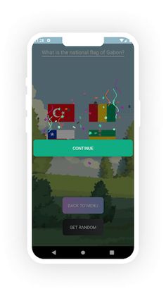 Choose The Flag - Screenshot 3