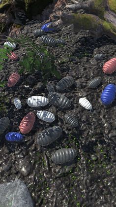 Roly-Poly Friends - Screenshot 3