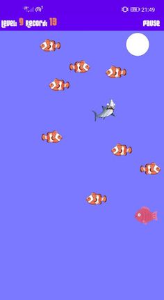 Lazy Shark - Screenshot 4