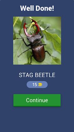 Insect Quest: Trivia Challenge - Screenshot 2